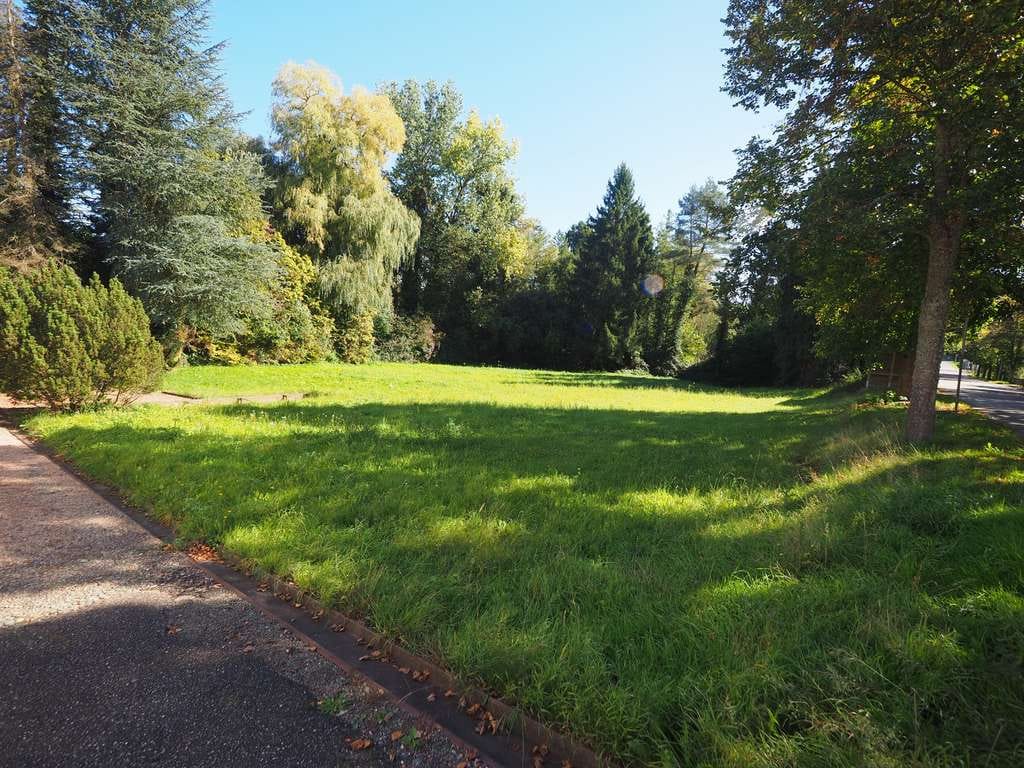 Immobilie in Dellfeld - GROßZÜGIGES EIN- ZWEIFAMILIENHAUS MIT GROßEM GRUNDSTÜCK - Bild 3