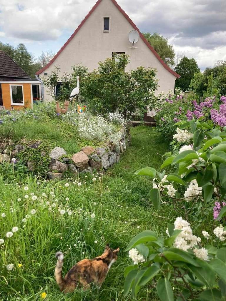 Immobilie in Altwigshagen - Haus am See - Bild 0