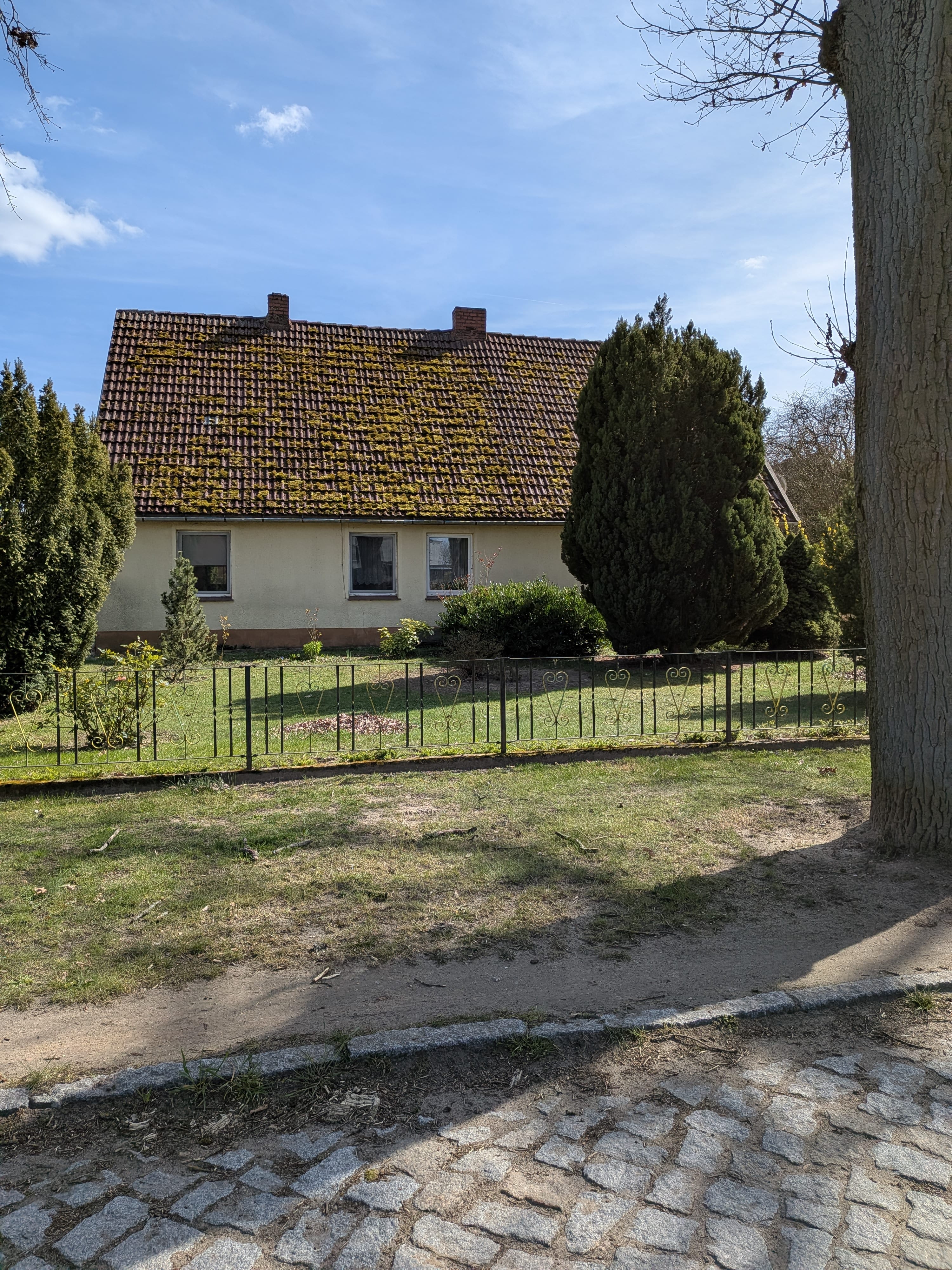 Immobilie in Meyenburg - ***Ruhig gelegenes Zuhause*** - Bild 1