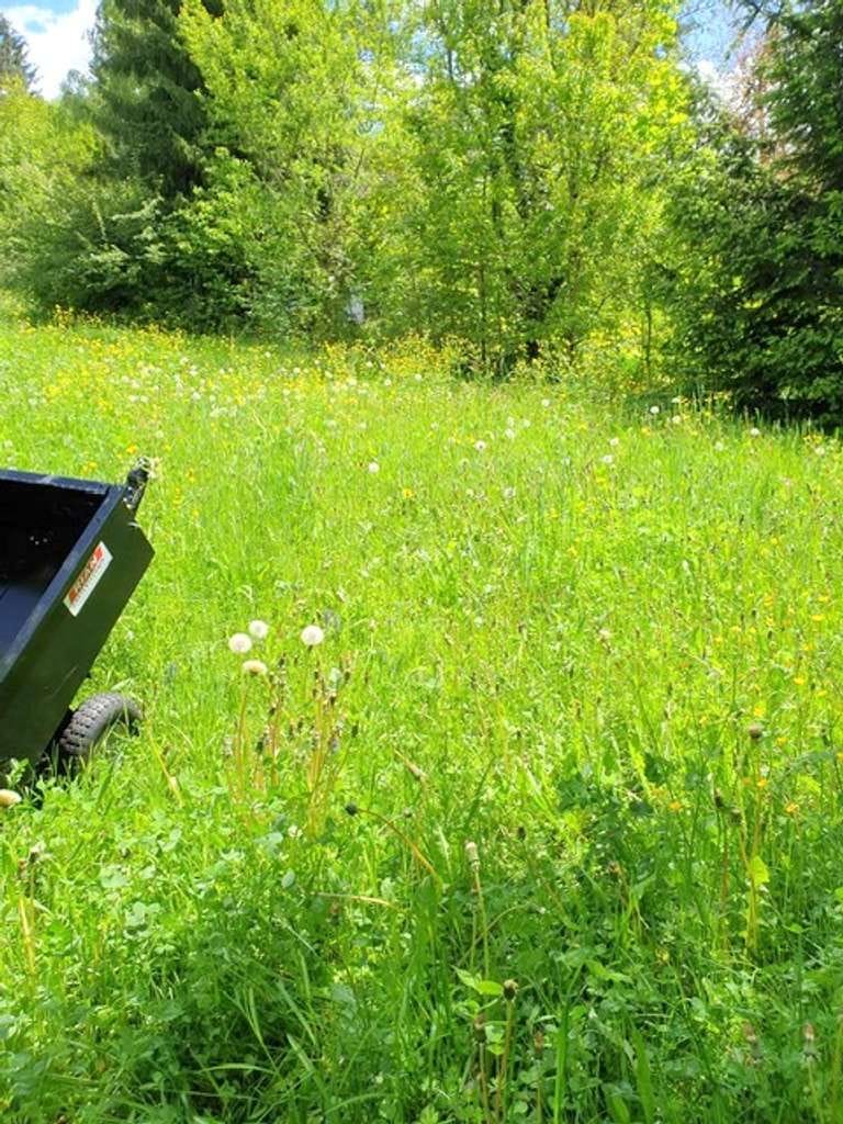 Immobilie in Reichenschwand - Für Naturliebhaber!!!  Ideales naturbelassenes Grundstück mit Einfamilienhaus - Bild 2