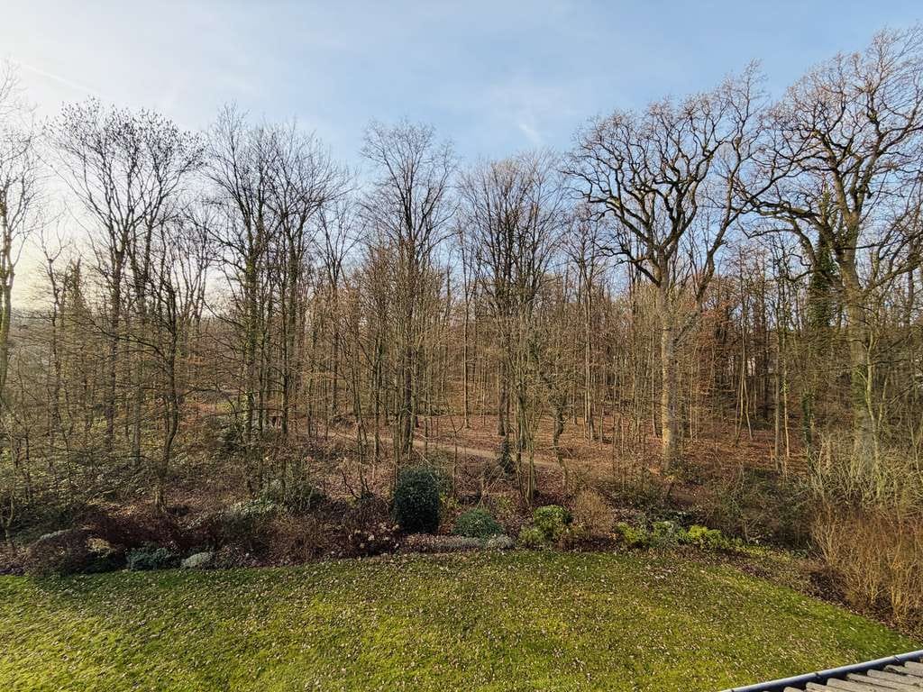 Immobilie in Bad Rothenfelde - Wohnen mit Aussicht – Ihre neue 2-Zimmer- Wohnung in Bad Rothenfelde - Bild 2