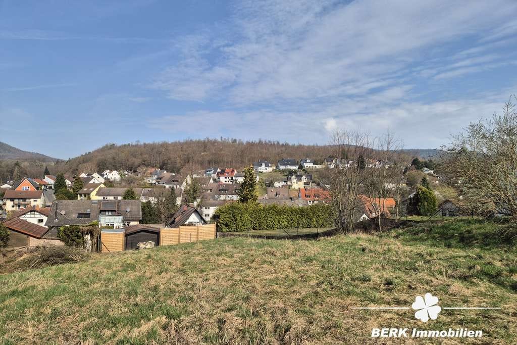 Immobilie in Sailauf - BERK Immobilien - Neubau-Doppelhaushälfte in Sailauf. Modern, hell & mit KfW40-Standard (förderfähig - Bild 0