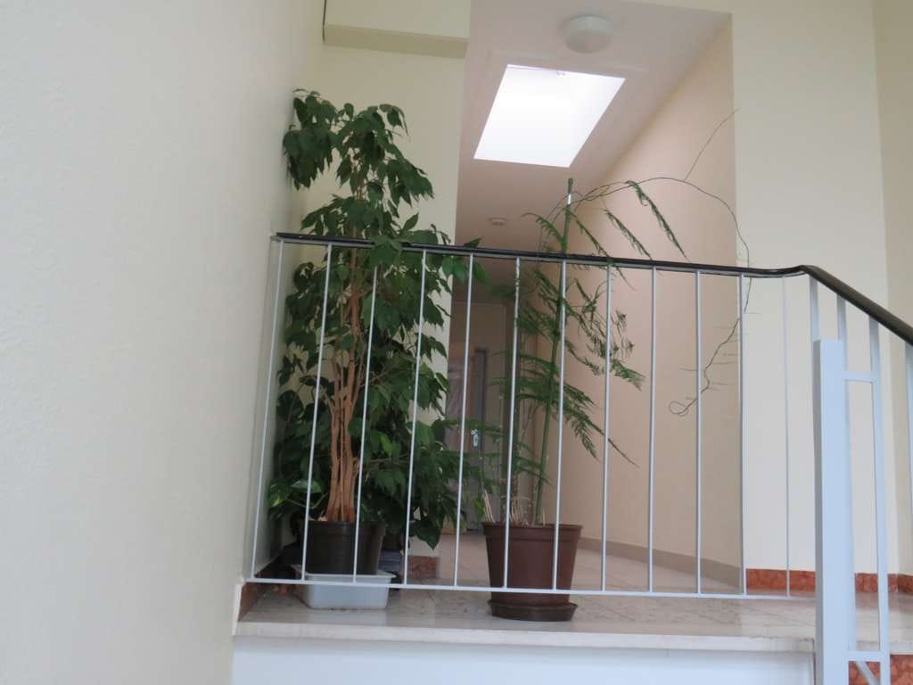 Immobilie in Sulzbach - VERMIETETE 2 ZIMMER WOHNUNG IN SULZBACH - Bild 0