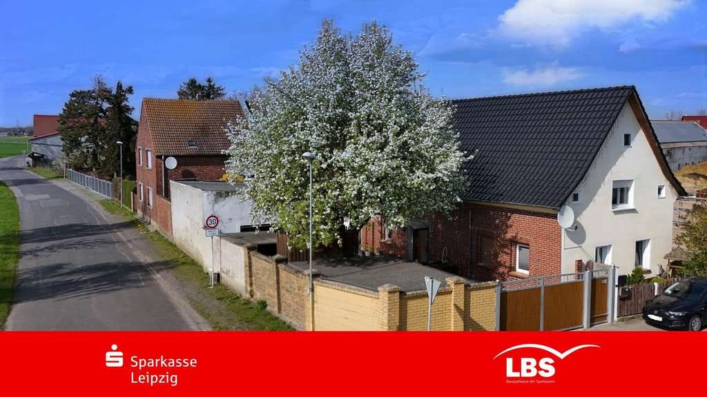 Immobilie in Schönwölkau - Großes Grundstück mit Immobilien-Duo - Bild 0