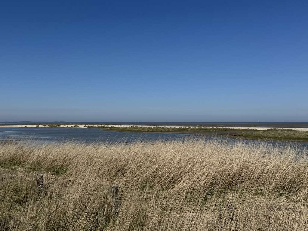 Immobilie in Dunsum - Traumhaus auf Föhr - Exklusives Reetdachhaus (DHH)  – Erstbezug mit Sauna, Kamin und Weitblick - Bild 0