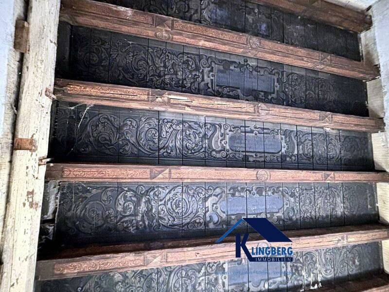 Immobilie in Finneland - Schloss Steinburg ° Ihre Investitionsmöglichkeit mit Geschichte°ETW mit Deckenmalerei zu verkaufen! - Bild 0
