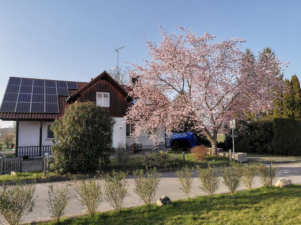 Immobilie in Moos - Landhausvilla mit drei abgeschlossenen Einheiten - Bild 4