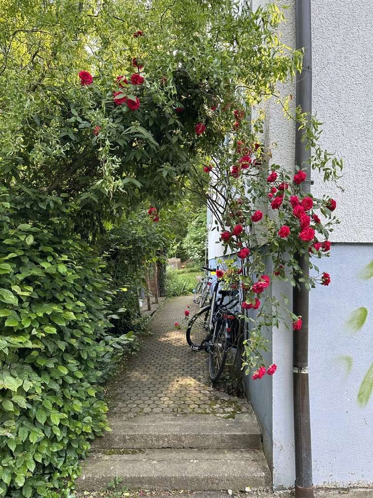 Immobilie in Waldkirch - Kapitalanlage - Mehrparteienhaus mit 7 Wohnungen im schönen Waldkirch-Kollnau - Bild 3