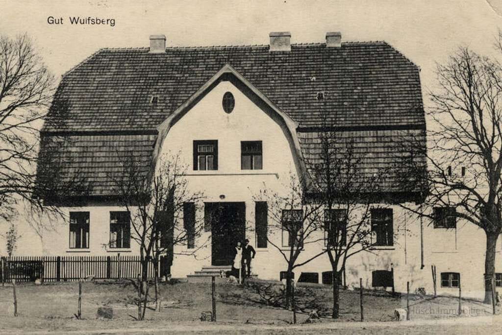 Immobilie in Poseritz - ""Gutshaus Wulfsberg auf Rügen – provisionsfrei, mit Geschichte, Seele und Entwicklungspotenzial "" - Bild 5