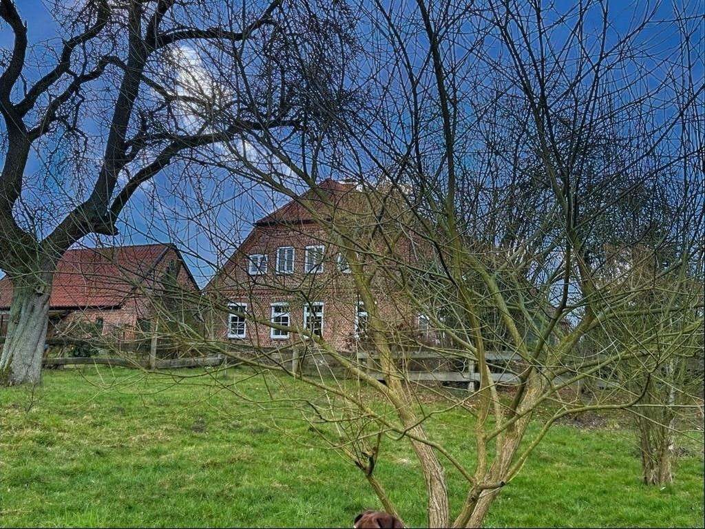 Immobilie in Wittenburg - Idyllischer Bauernhof für Pferdefreunde - Bild 2