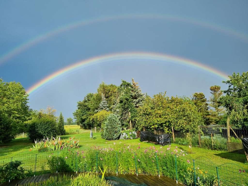 Immobilie in Schönewalde - idyllisches Zuhause nahe der Kreisstadt  - Bild 0