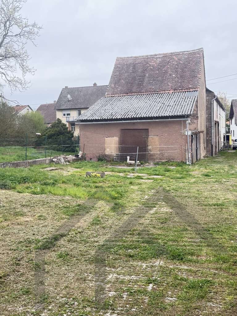Immobilie in Wahnwegen - Das Leben ist (k)ein Ponyhof - Bild 0