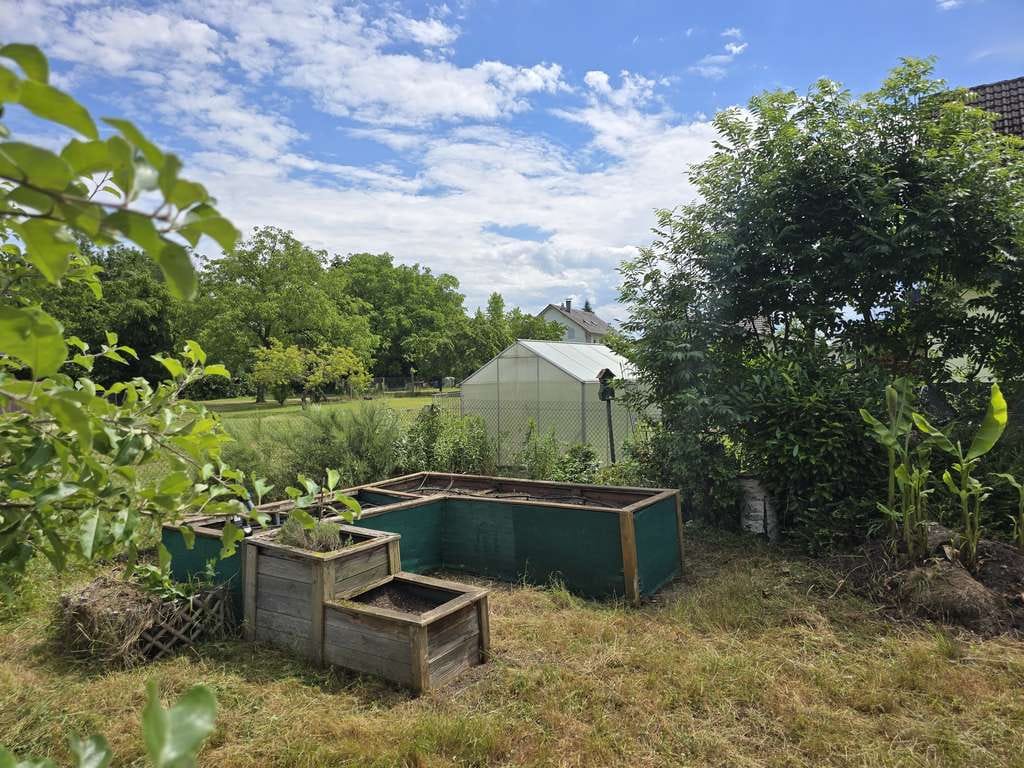 Immobilie in Rheinmünster - Einfamilienhaus in Rheinmünster-Söllingen mit  Garten  - Bild 2