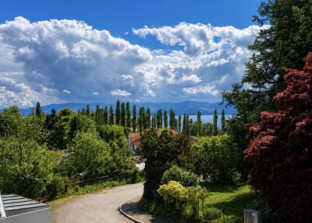 Immobilie in Wasserburg (Bodensee) - 2,5 Zimmer Wohnung mit unverbaubarem 
Berg- und Seeblick in Wasserburg - Bild 0