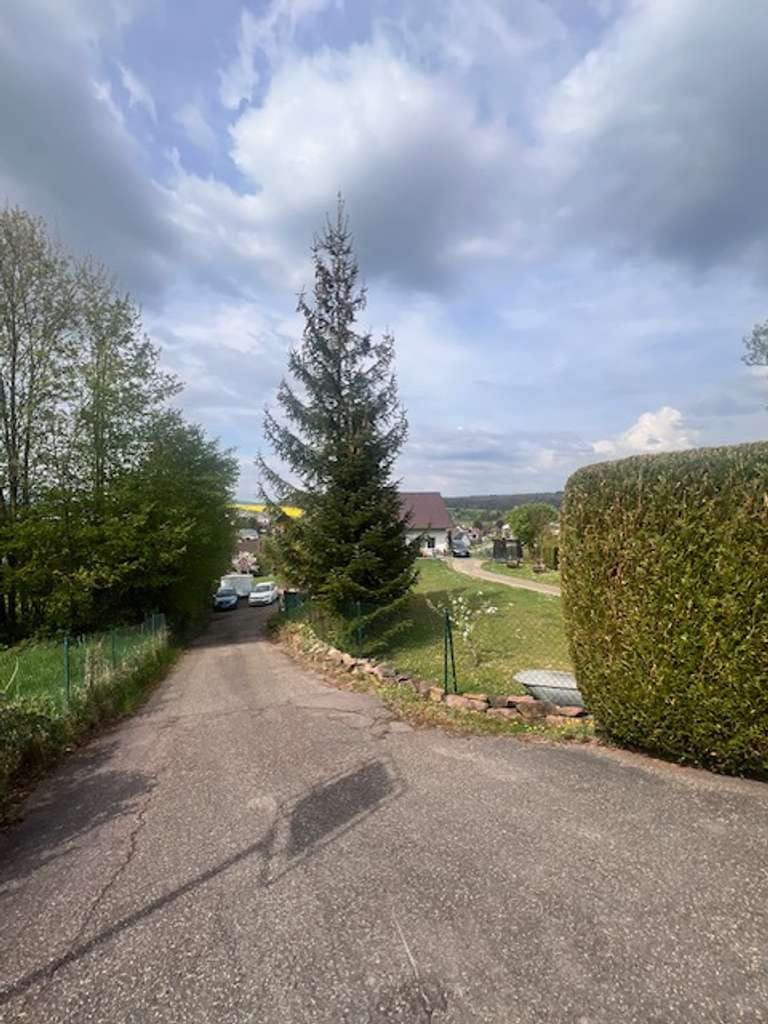 Immobilie in Spechbach - Freistehendes Einfamilienhaus mit Einliegerwohnung in Traumlage - Bild 2