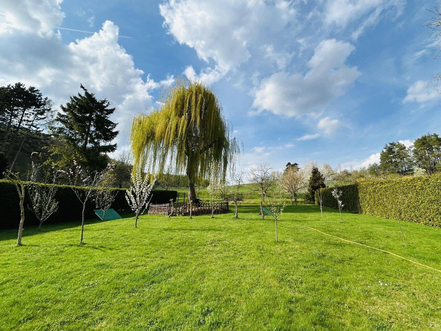 Immobilie in Arnstadt - Großzügiges Einfamilienhaus mit Wintergarten, Sauna und traumhaftem Gartenparadies nahe Arnstadt - Bild 2