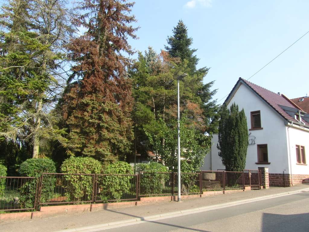 Immobilie in Offstein - 2654 m², Baugenemigung liegt vor, bebaubar gem. § 34 BauGB, teilbar, Bestand: 2 x EFH - Bild 0