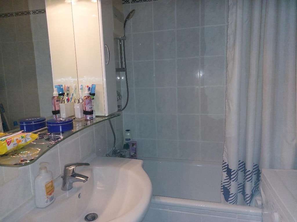 Immobilie in Hattersheim - HATTERSHEIM: Schöne 1-Zi.-Single-Wohnung mit Laminat, Balkon u. EBK - Bild 4
