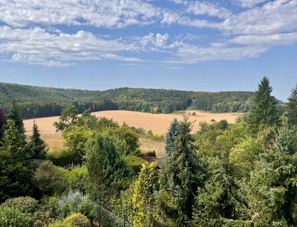 Immobilie in Enkenbach-Alsenborn - Enkenbach-Alsenborn: Großzügiges Wohnhaus m. Einliegerwohnung in Feld- u. Waldrandlage mit Weitblick - Bild 2