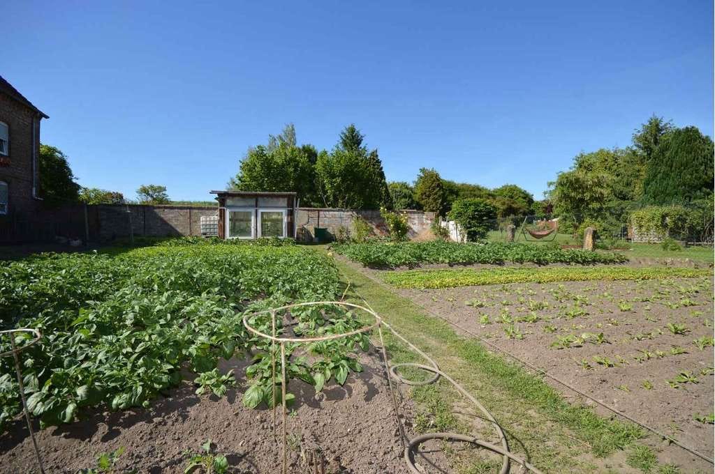 Immobilie in Eilsleben - Historisches Fachwerkhaus mit 3 vermieteten Wohnungen und großem Garten. - Bild 3