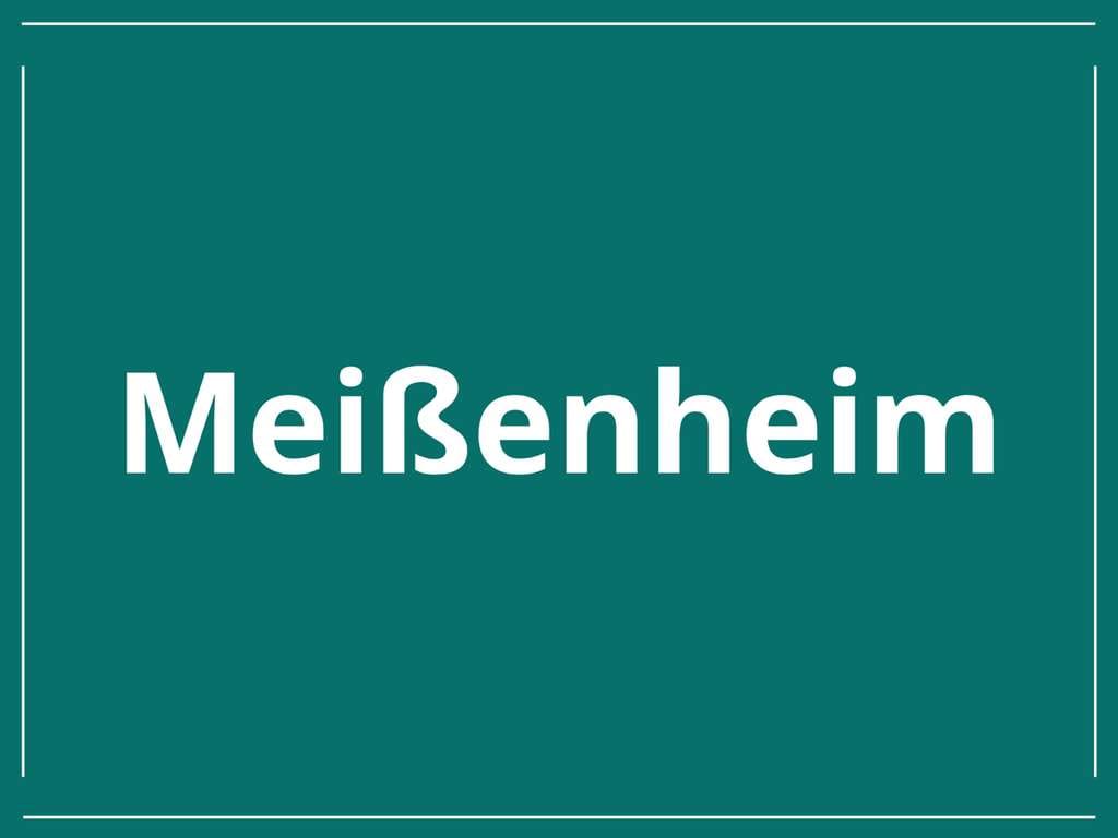 Immobilie in Meißenheim - Charmantes großzügiges Riedhaus mit Flair und großem Garten in Meißenheim - Bild 1