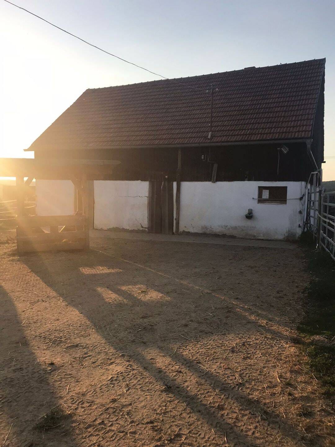 Immobilie in Hohenfels - Traumhaftes Grundstück, älterer Bauernhof, Resthofstelle mit Stallung und Scheune in Hohenfels - Bild 3