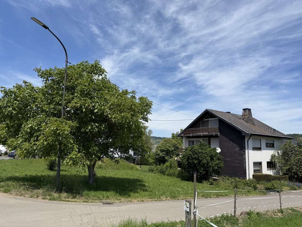 Immobilie in Leiwen - Natur pur - Großes EFH am Ortsrand - Nähe Trier und Luxemburg - Bild 0