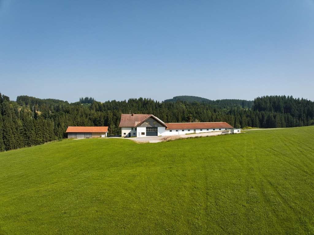 Immobilie in Wiggensbach - Bauernhaus in Alleinlage mit 4.000 m² Grund bei Kempten Gewerbe- bzw. Lagerfläche 953 m² - Bild 1