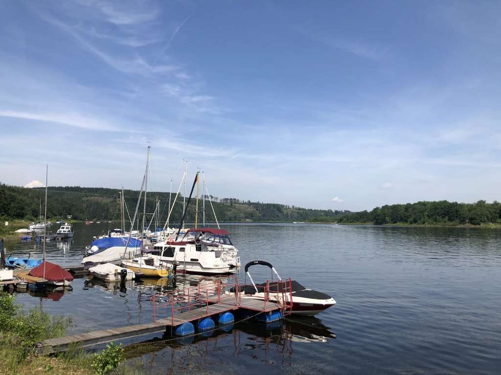 Immobilie in Saalburg-Ebersdorf - Bestlage am Thüringer Meer Saalburg-Ebersdorf  6000 m² großes Seegrundstück - Bild 2