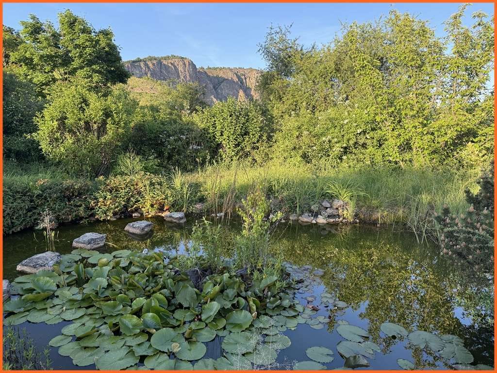 Immobilie in Norheim - Hier erwartet Sie eine sensationelle, nicht vergleichbare Aussichtslage, mit 1380 m² Grundstück! - Bild 1