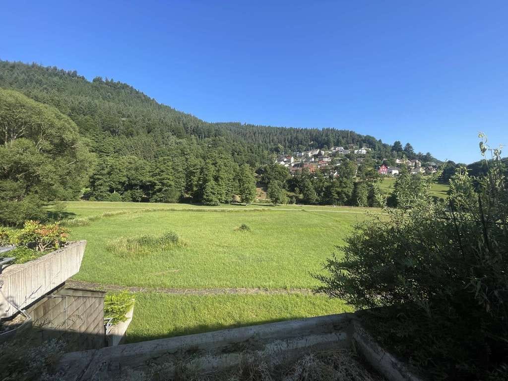 Immobilie in Bad Wildbad - 1,5 - Zi. Wohnung mit Schlafnische, Stellplatz u. Terrassen-Ausblick auf den Kurpark Bad Wildbad - Bild 1
