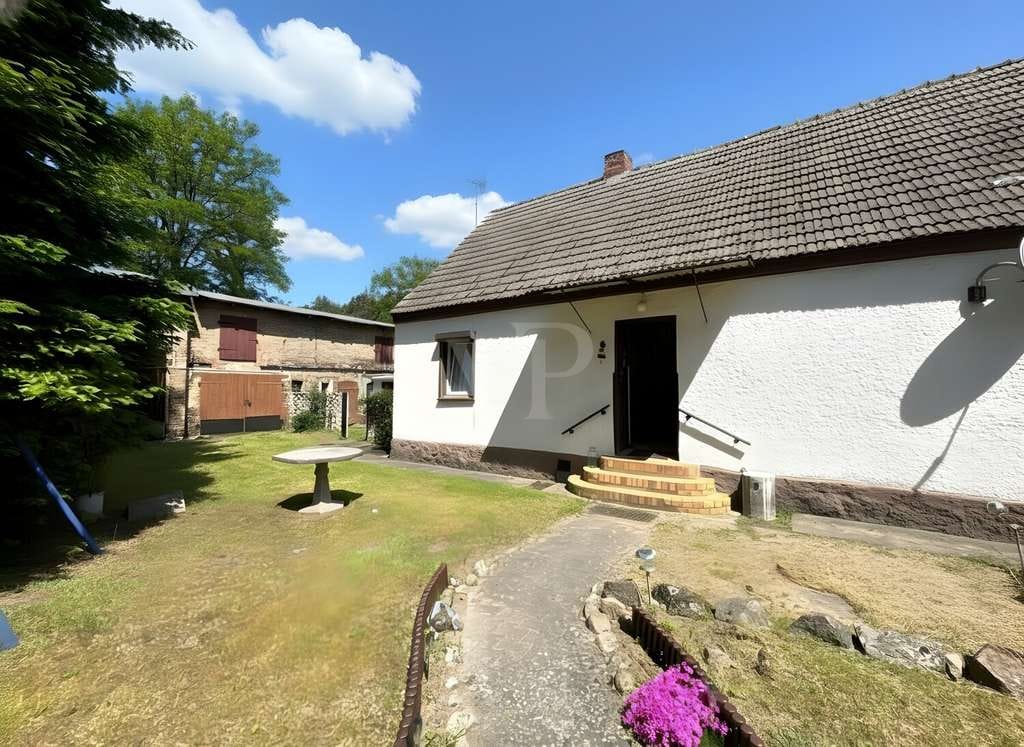 Immobilie in Chorin - Vergangenheit trifft Zukunft - Lehmbauhaus mit Scheune, Nebengelass und großer Wiese in Chorin - Bild 1