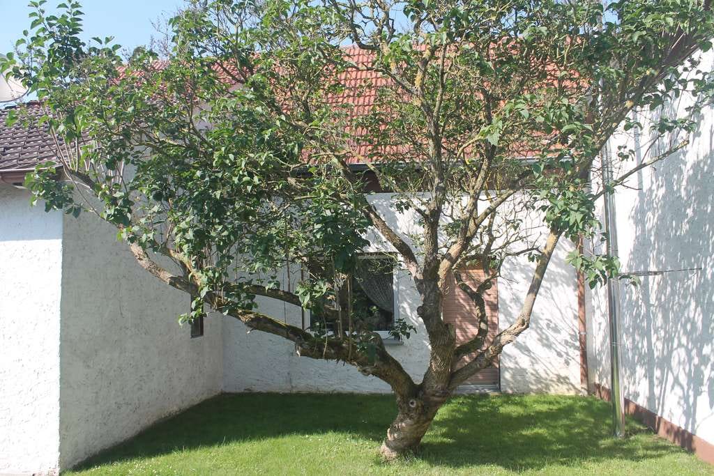 Immobilie in Hille - Schönes Einfamilienhaus in Hille, Rothenuffeln, ruhige Lage am Fuße des Wiehengebirges zu verkaufen - Bild 2