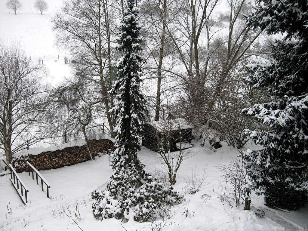 Immobilie in Willingen (Upland) - Charmantes Wohnhaus im Schweizer Chalet Stil und parkähnlichem Grundstück im Raum Willingen - Bild 4