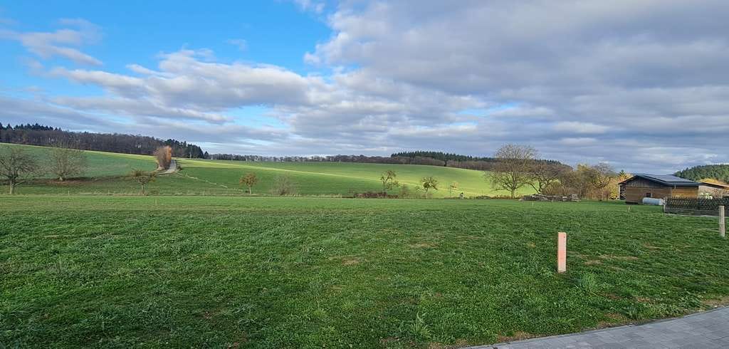 Immobilie in Bollenbach - Realisieren Sie Ihr Haus im Neubaugebiet in Bollenbach! - Bild 4