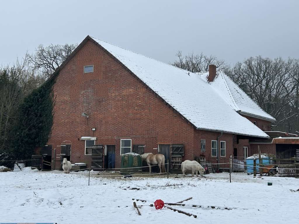 Immobilie in Garstedt - Resthof für Pferdeliebhaber im Ortskern von Garstedt - Bild 3