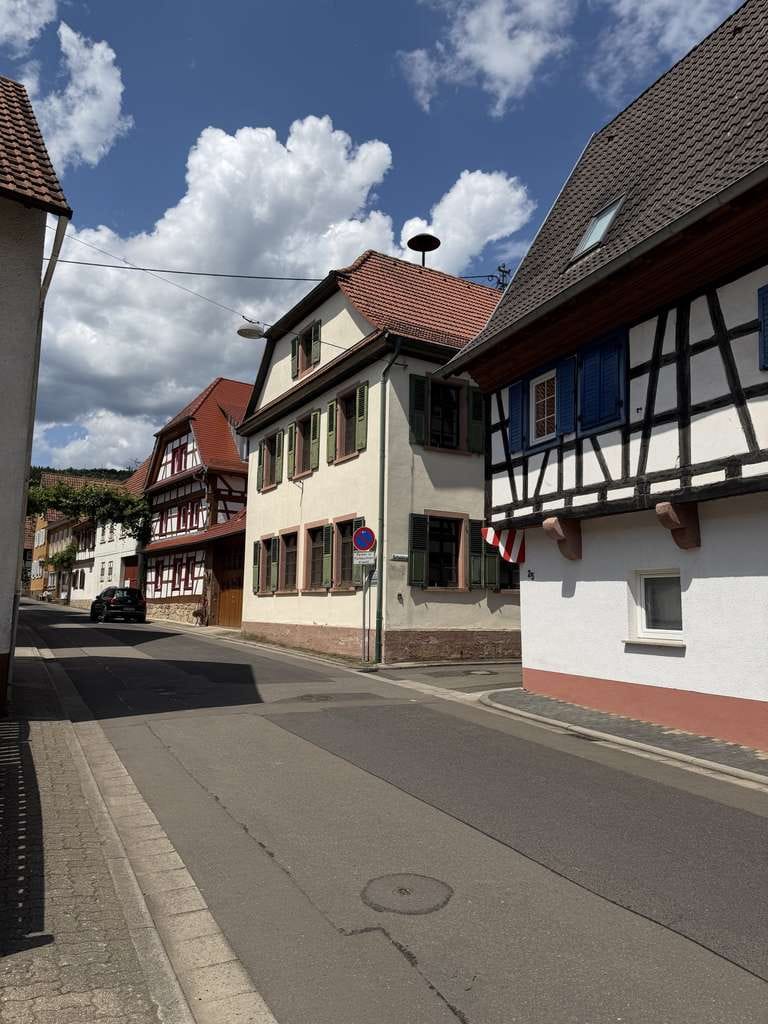 Immobilie in Schweigen-Rechtenbach - Ehemaliges Schulhaus mit Innenhof und Nebengebäuden-klassizistischer Baustil mit Denkmalschutz - Bild 2