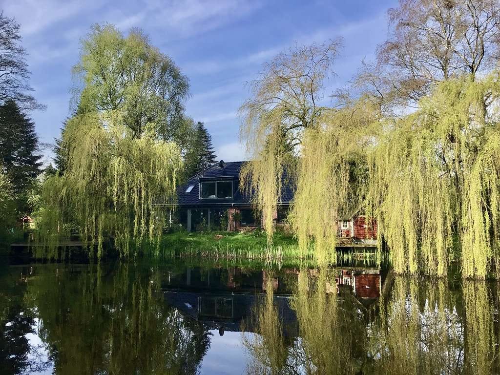 Immobilie in Großenwiehe - Traumhaus am See - Bild 2