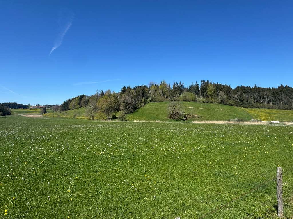 Immobilie in Maierhöfen - Naturnah leben im schönen Westallgäu - Bild 3