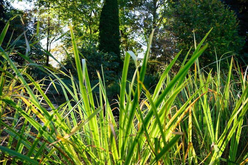 Immobilie in Petersdorf - „Viel Raum zum Leben: 400 m² Wohnfläche auf herrlichem Parkgrundstück – provisionsfrei“ - Bild 2