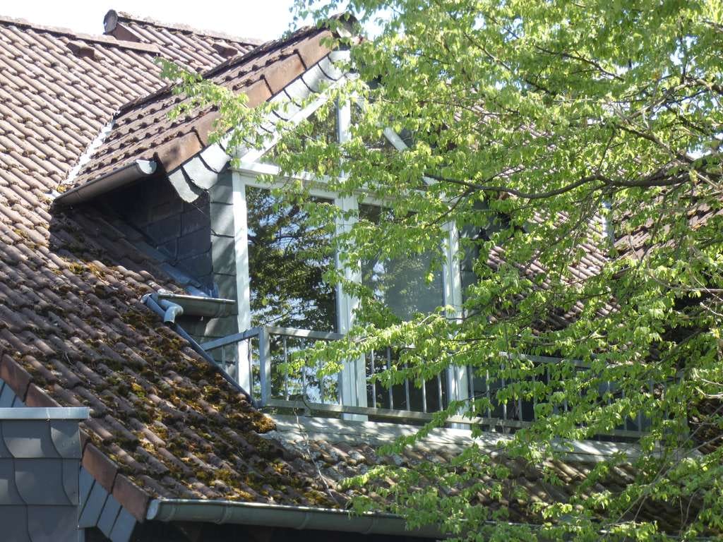 Immobilie in Niedernhausen - **Mehrfamilienhaus in Niedernhausen – Attraktive Rendite & Top-Lage** - Bild 0