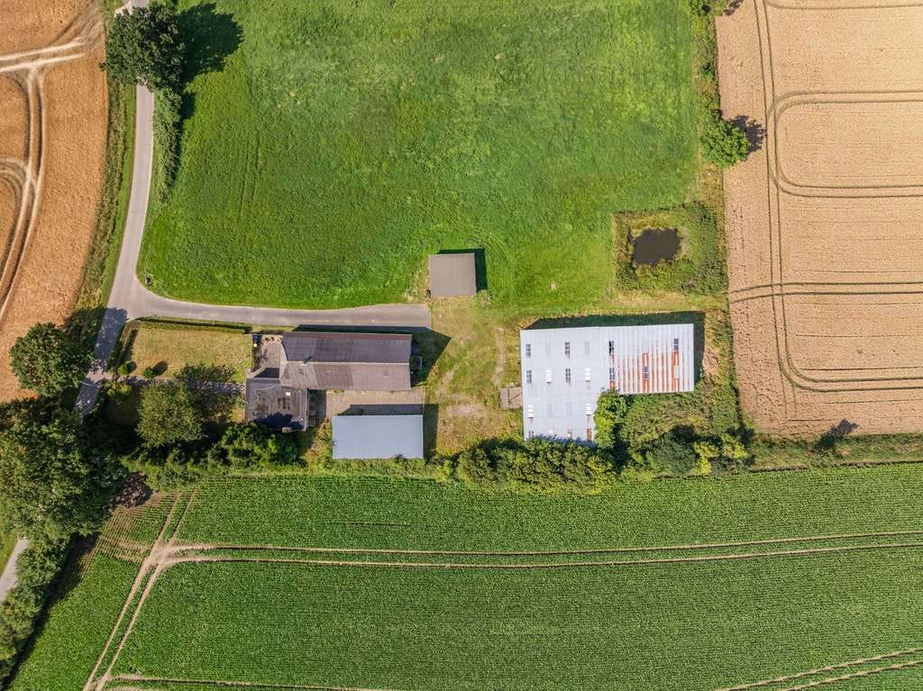 Immobilie in Damp - Wo das Leben Wurzeln schlägt - Familiendomizil im Grünen in direkter Nähe zur Ostsee - Bild 2