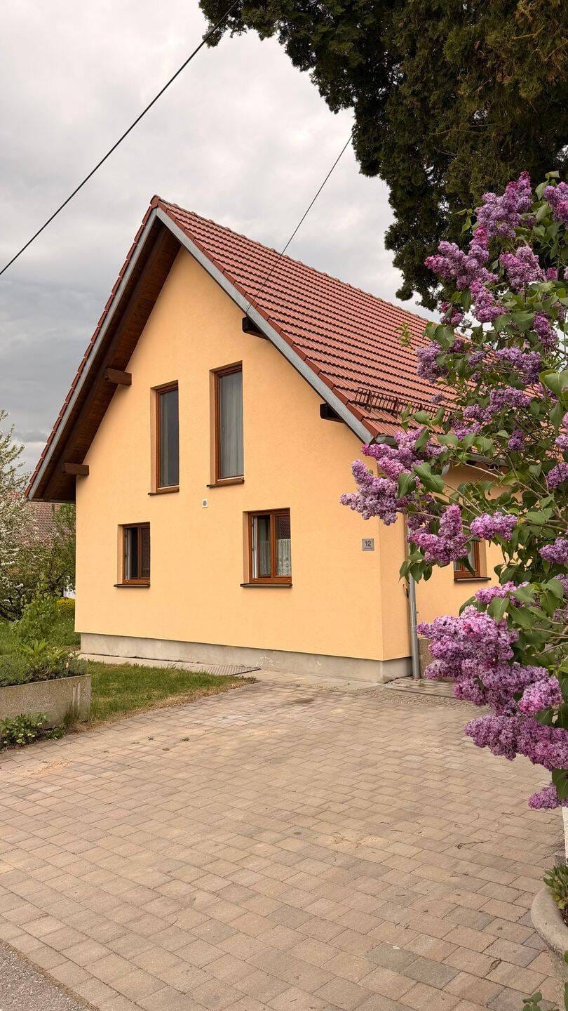 Immobilie in Steinkirchen - Einfamilienhaus mit Garten und Ausbaupotential - Bild 0