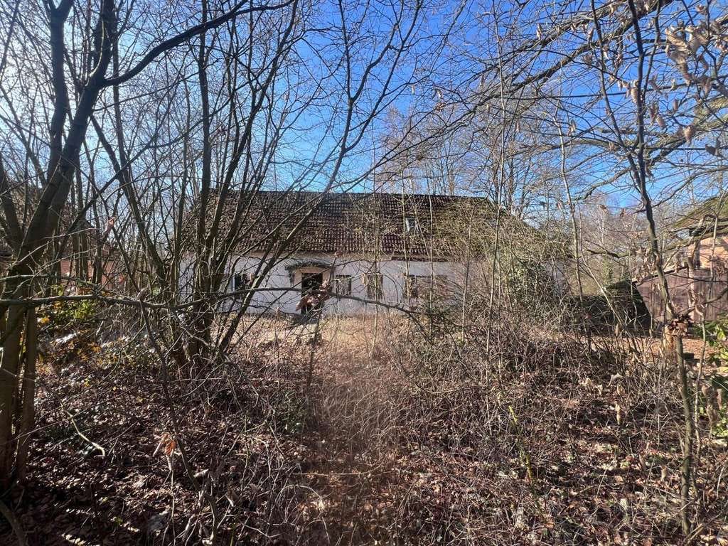 Immobilie in Gerdau - Ein Haus wie aus einem Roman in Bohlsen - Bild 1