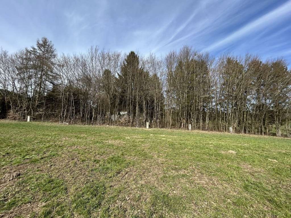 Immobilie in Rötz - Refugium in Alleinlage – Verwunschenes Einfamilienhaus mit großem Naturgrundstück und viel Potenzial - Bild 1