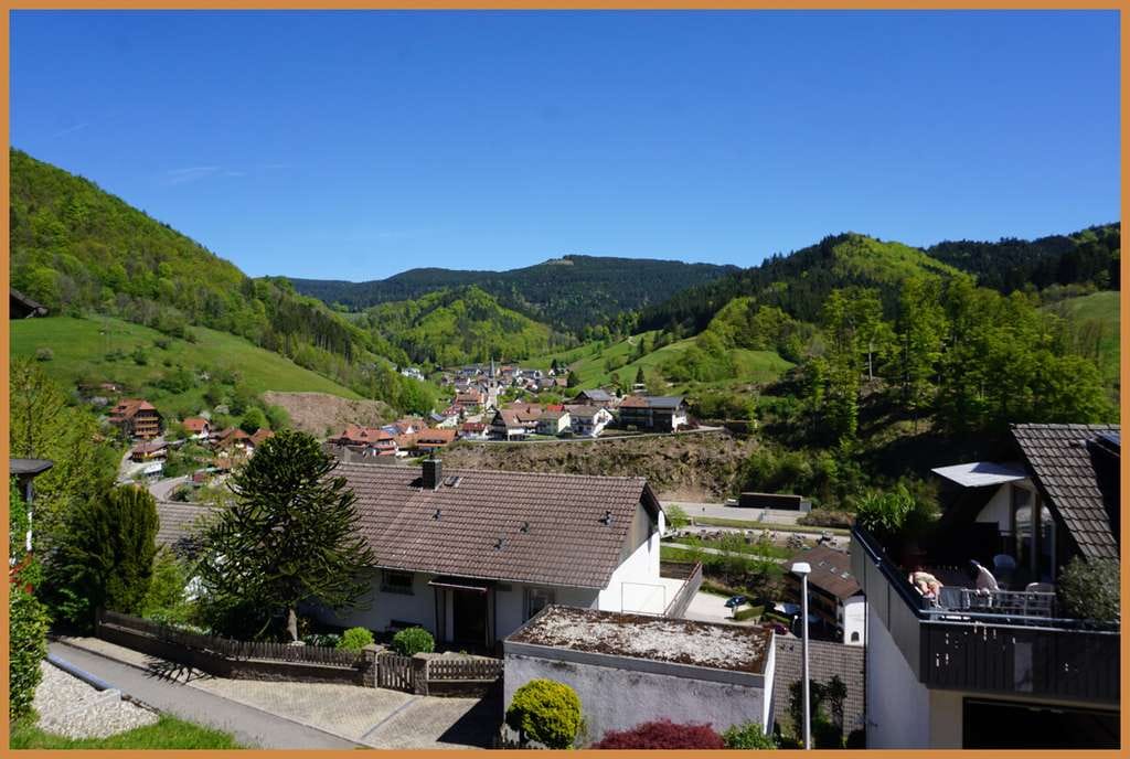 Immobilie in Bad Peterstal-Griesbach - Wohnen mit Weitblick – Charmante 2-Zimmer-Wohnung in traumhafter Aussichtslage - bezugsfrei ! - Bild 3