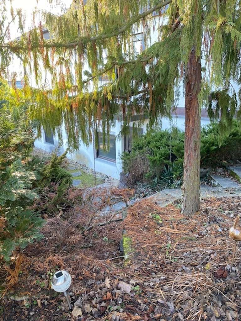 Immobilie in Wimsheim - Sonniges Einfamilienhaus mit ELW oder Büro und 2 Garagen in Hanglage mit Aussicht auf Wimsheim! - Bild 3