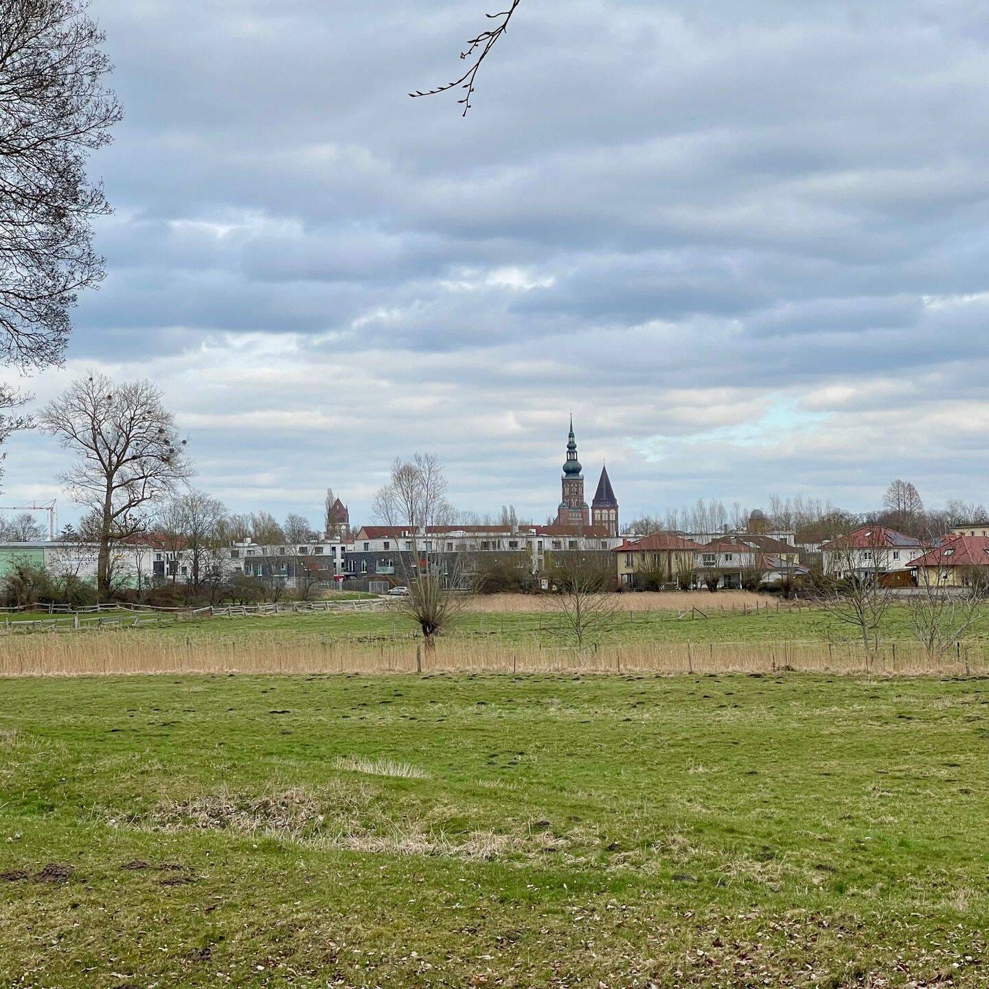 Immobilie in Greifswald - Mehrfamilienhaus in attraktiver Lage in Greifswald zu verkaufen - Bild 0