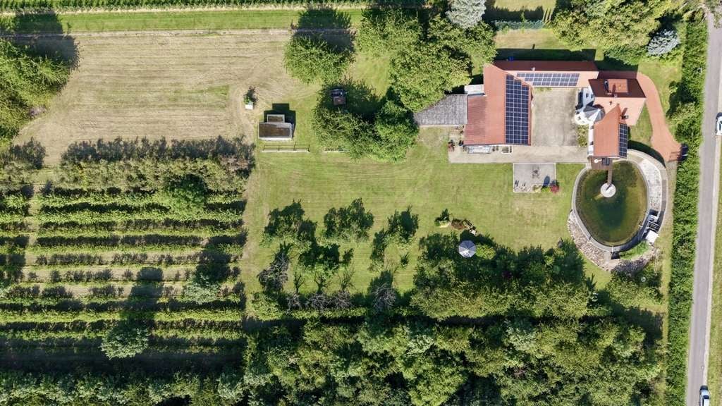 Immobilie in Evessen - Rarität am Elmrand!  - Bild 1