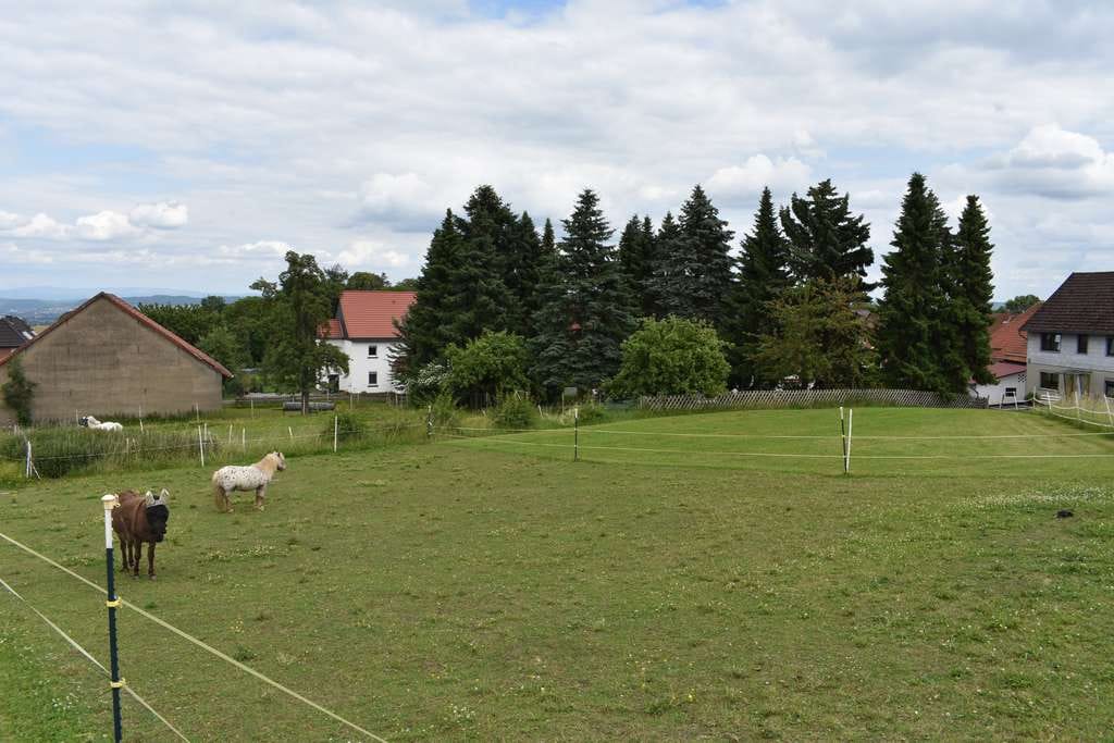 Immobilie in Moringen - Repräsentatives Landhaus mit 1,2ha Weidefläche und Scheune - Bild 2